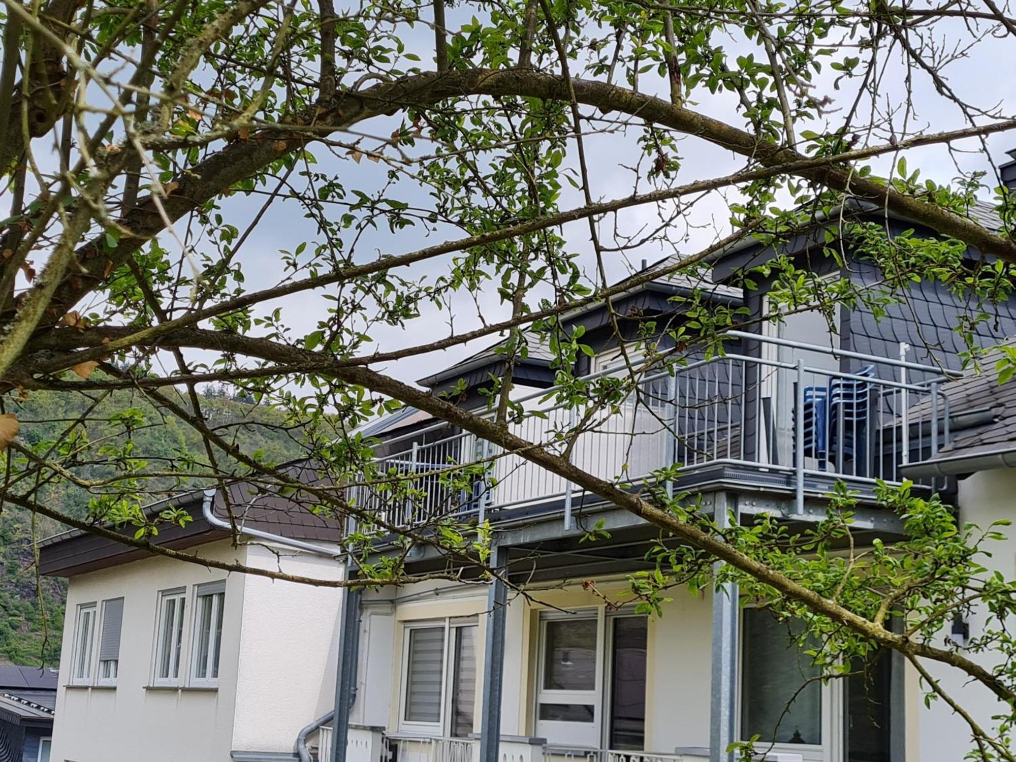 Ferienhaus Am Reilsbach Cochem Kültér fotó